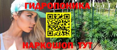 mix Гатчина