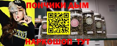 крисы Гагарин