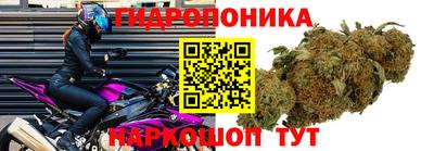 крисы Гагарин