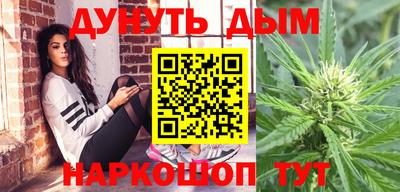 крисы Гагарин