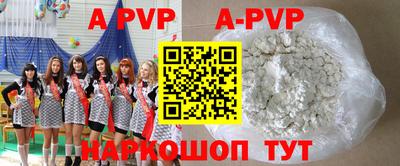 крисы Гагарин