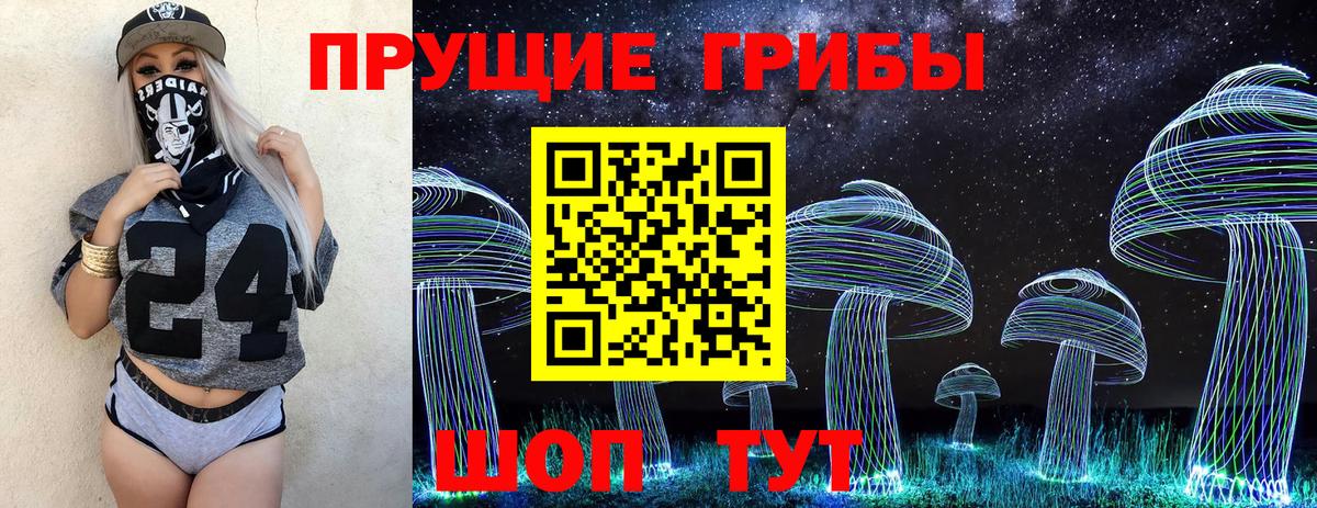 Псилоцибиновые грибы GOLDEN TEACHER Мценск